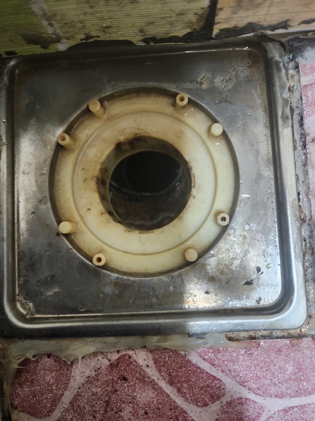 2944258182_AO3n2v8X_5bb72ff448499956693307ec7674df928f45c95f.jpg 이미지크게보기