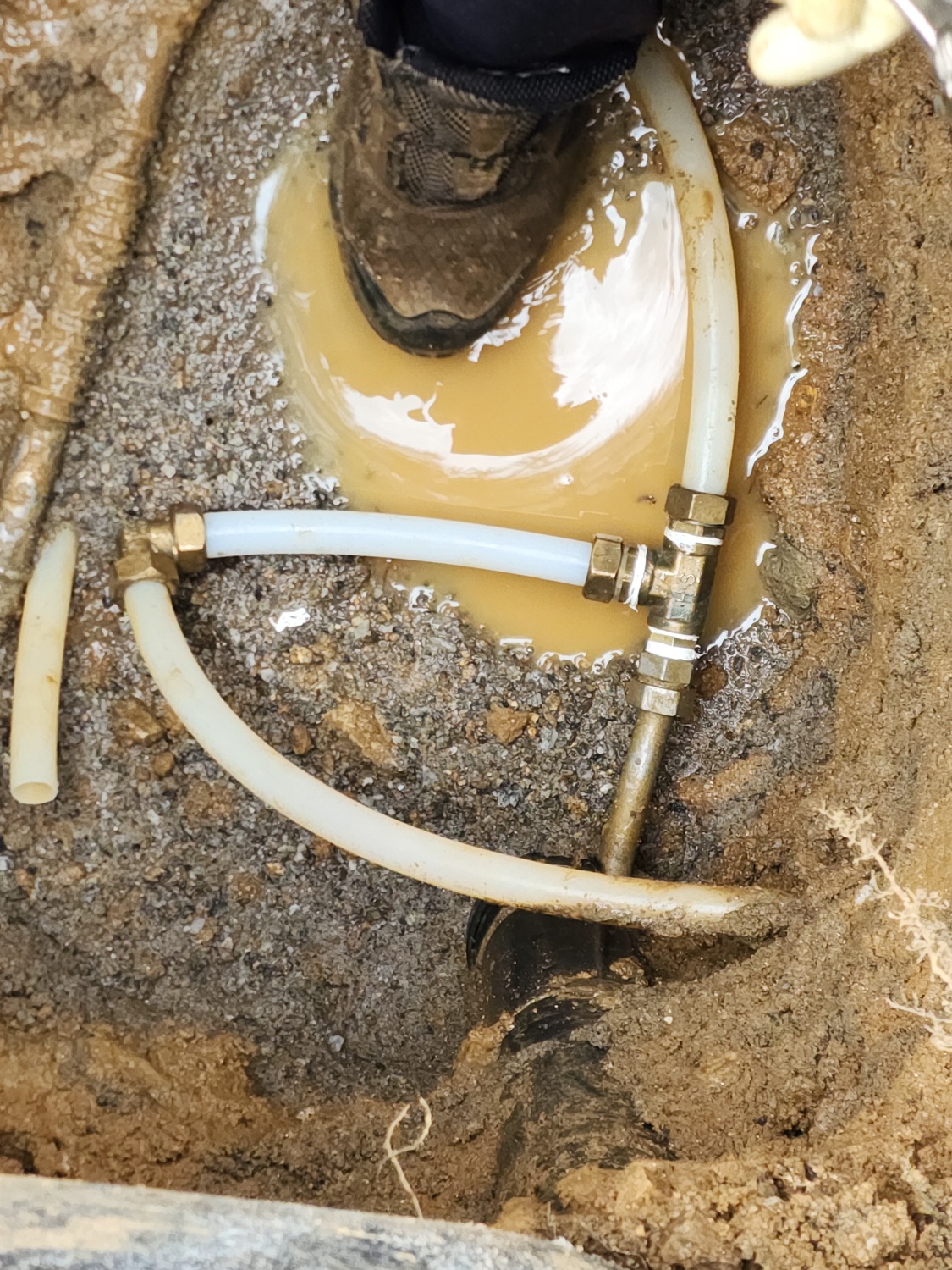 /user/g/gpmanneung/editor/2508/2964f36687fc97bd027ef3f30c38d86b_1756045038_2199.jpg 이미지크게보기