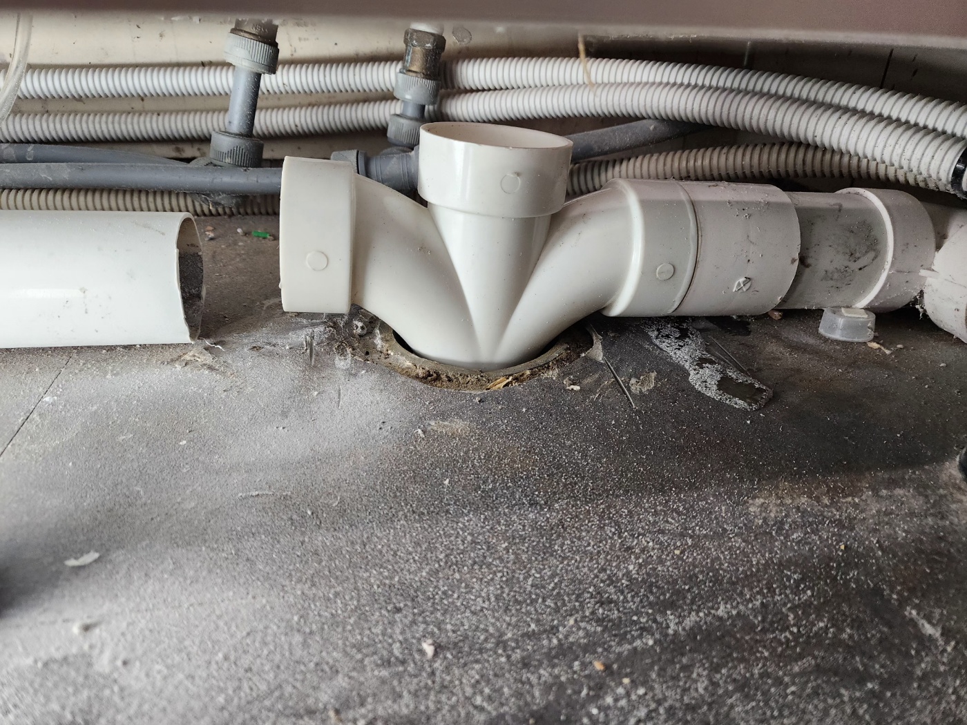 /user/g/gpmanneung/editor/2508/2964f36687fc97bd027ef3f30c38d86b_1756045231_5311.jpg 이미지크게보기