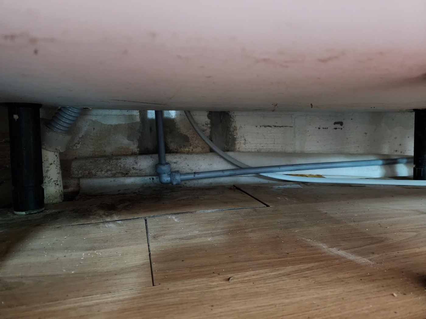 /user/g/gpmanneung/editor/2508/2964f36687fc97bd027ef3f30c38d86b_1756045355_8801.jpg 이미지크게보기