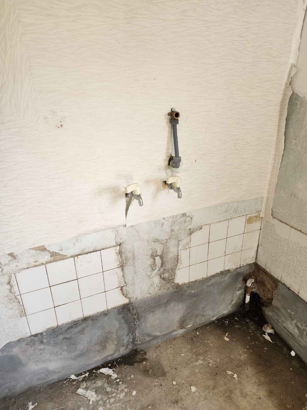 /user/g/gpmanneung/editor/2508/2964f36687fc97bd027ef3f30c38d86b_1756045511_7079.jpg 이미지크게보기