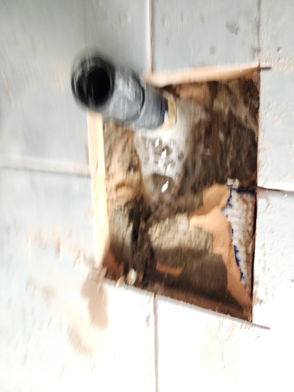 /user/g/gpmanneung/editor/2510/509d050916238734ea986cae7f57c323_1760167788_5003.jpg 이미지크게보기