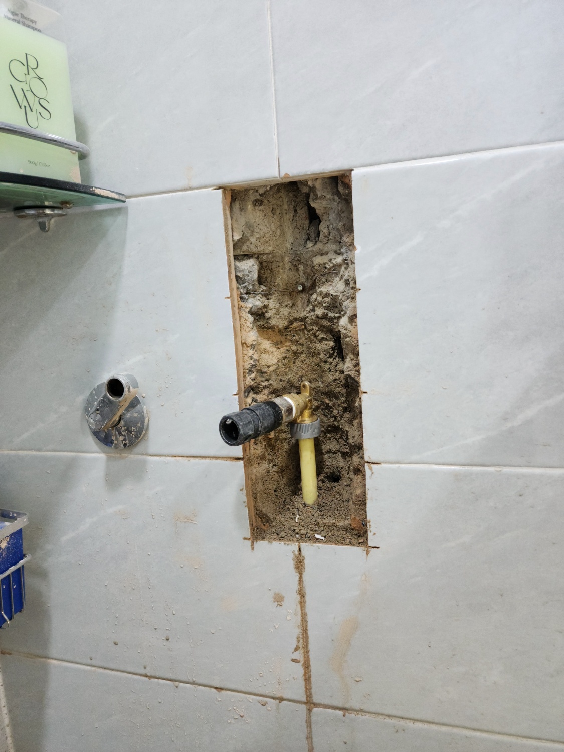 /user/g/gpmanneung/editor/2510/509d050916238734ea986cae7f57c323_1760167790_414.jpg 이미지크게보기