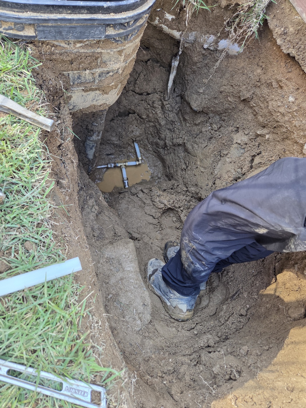 /user/g/gpmanneung/editor/2510/509d050916238734ea986cae7f57c323_1760167888_426.jpg 이미지크게보기