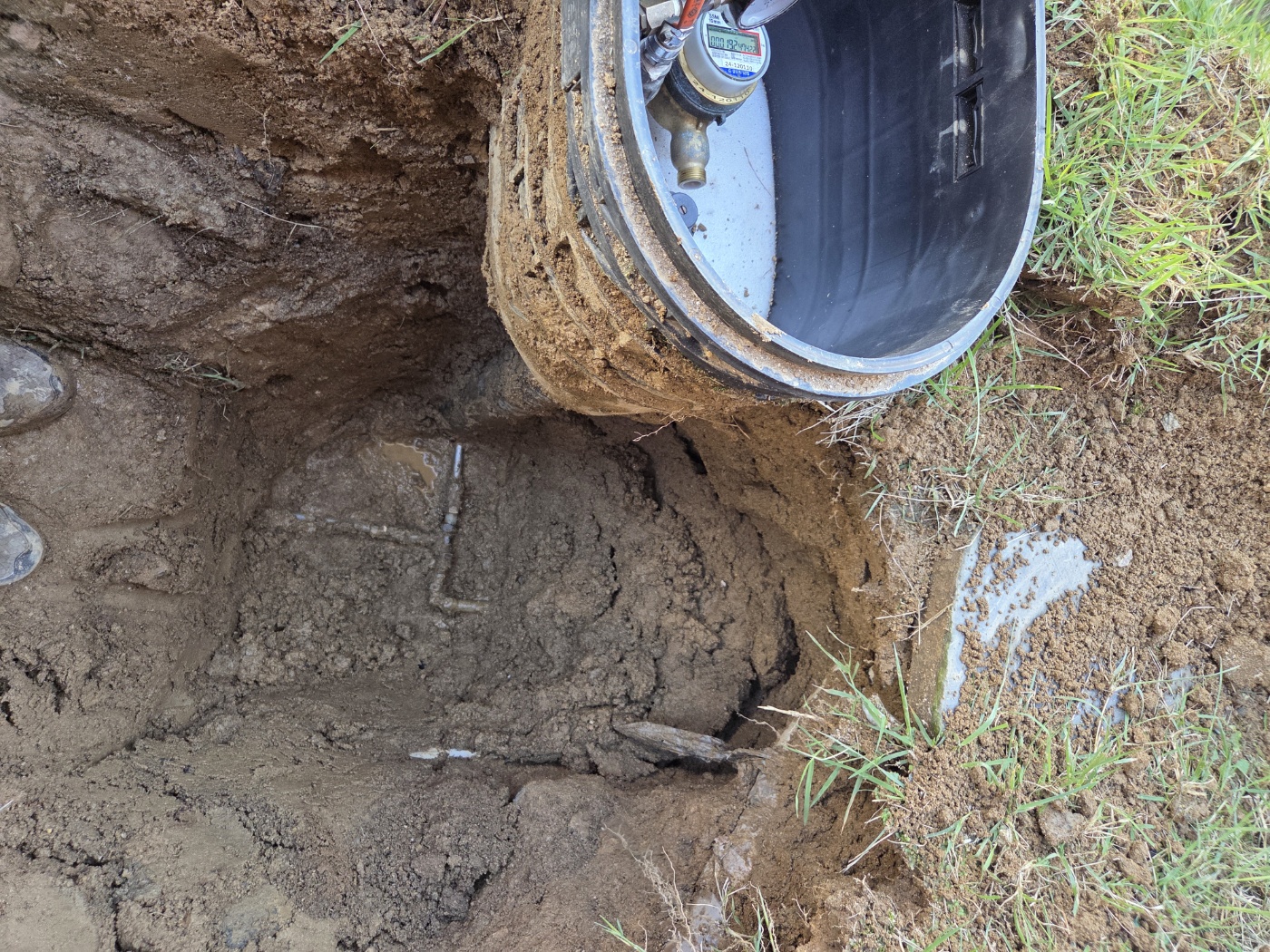 /user/g/gpmanneung/editor/2510/509d050916238734ea986cae7f57c323_1760167889_0919.jpg 이미지크게보기