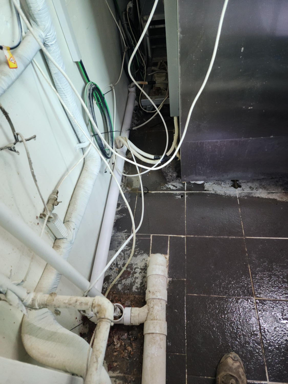 /user/g/gpmanneung/editor/2510/509d050916238734ea986cae7f57c323_1760167964_791.jpg 이미지크게보기