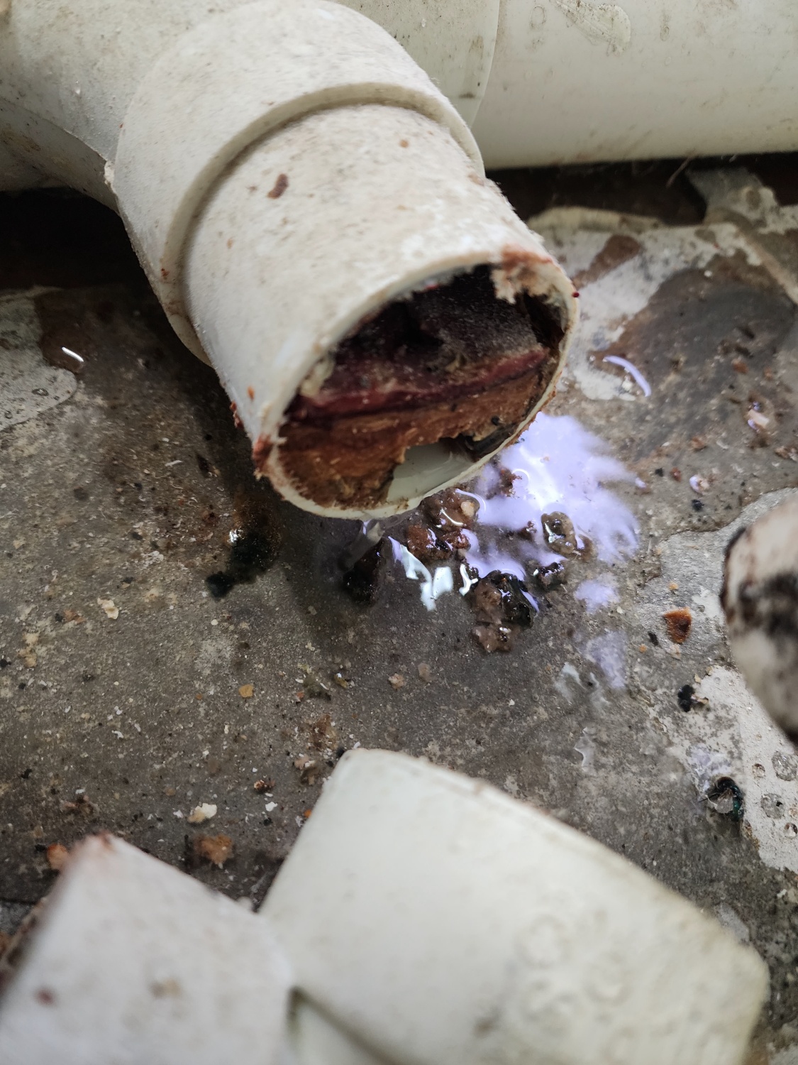 /user/g/gpmanneung/editor/2510/509d050916238734ea986cae7f57c323_1760167965_1271.jpg 이미지크게보기