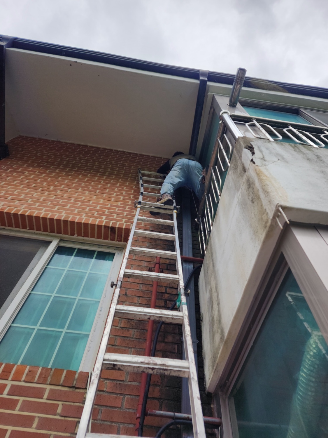 /user/g/gpmanneung/editor/2510/509d050916238734ea986cae7f57c323_1760167994_6383.jpg 이미지크게보기