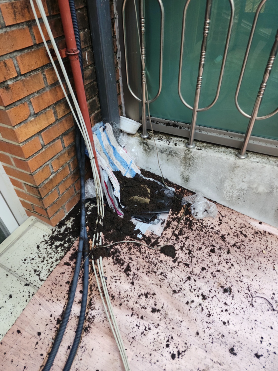 /user/g/gpmanneung/editor/2510/509d050916238734ea986cae7f57c323_1760167995_1667.jpg 이미지크게보기