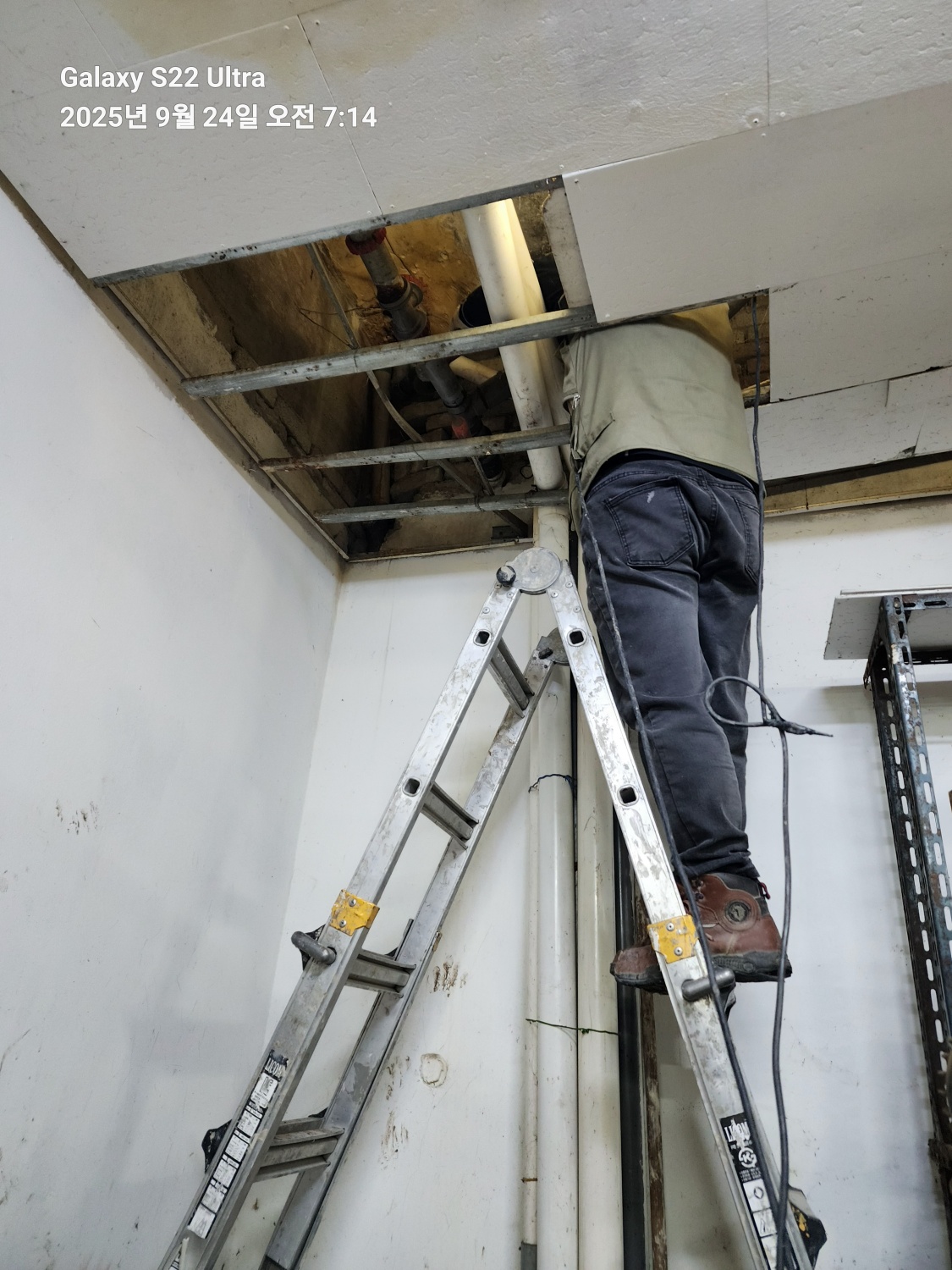 /user/g/gpmanneung/editor/2510/509d050916238734ea986cae7f57c323_1760168267_6564.jpg 이미지크게보기