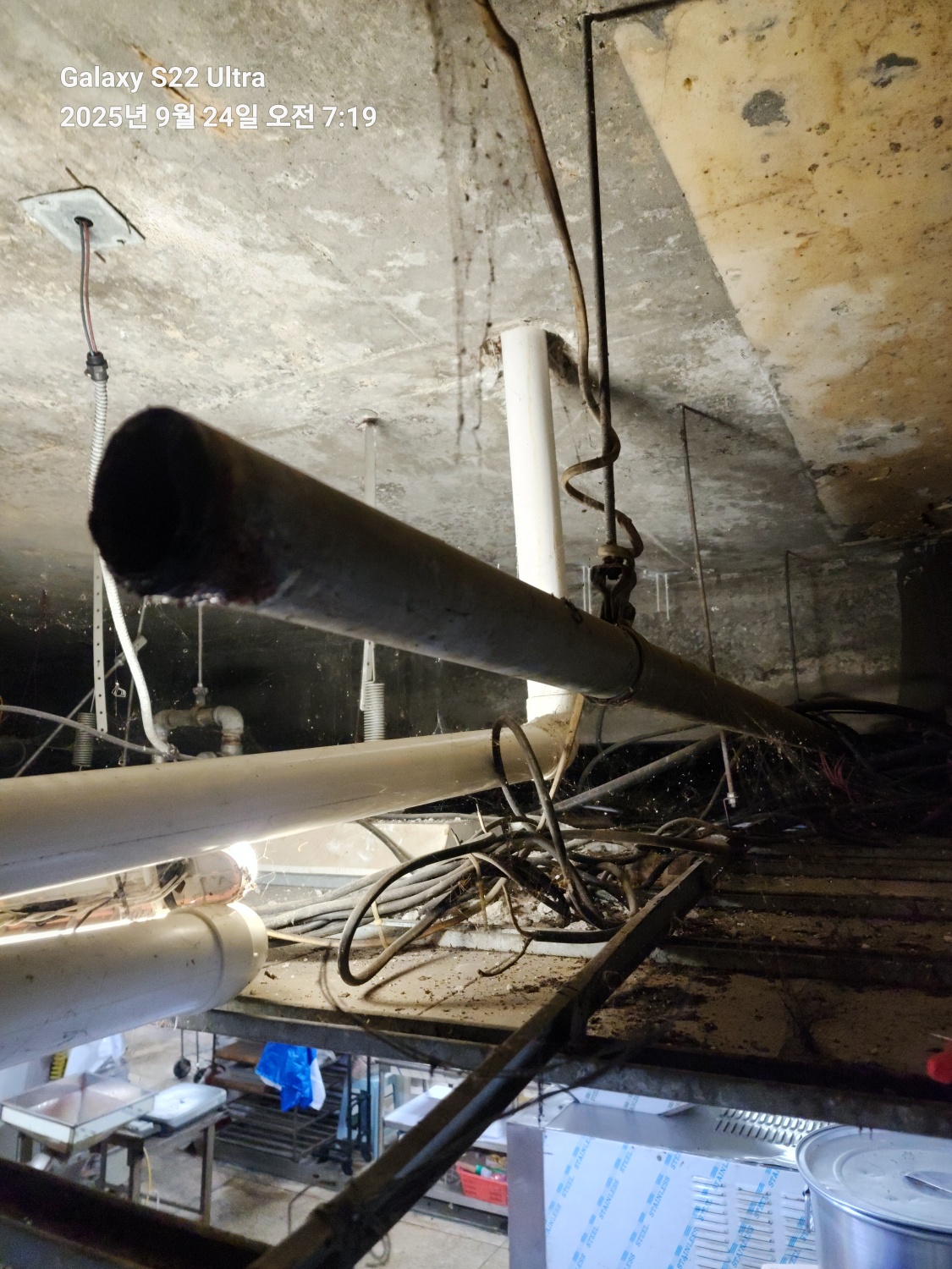 /user/g/gpmanneung/editor/2510/509d050916238734ea986cae7f57c323_1760168267_9798.jpg 이미지크게보기