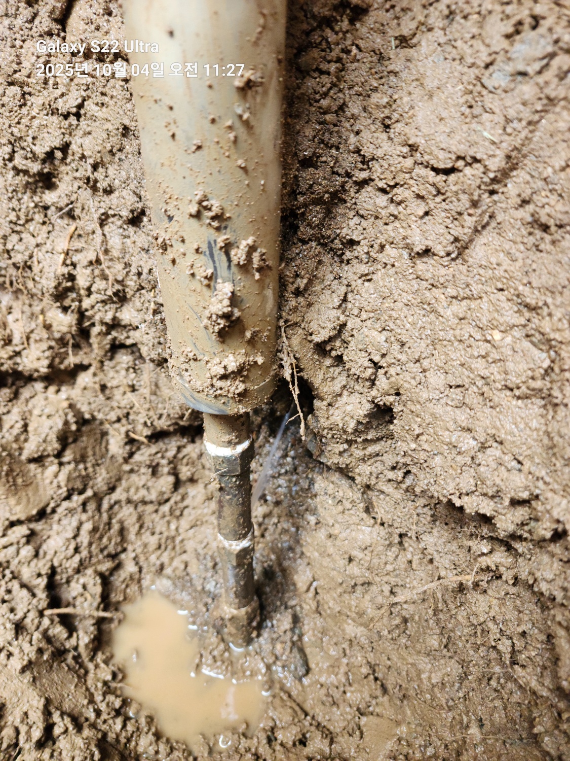 /user/g/gpmanneung/editor/2511/0de18772eb5dc0b9478ded7374d81066_1763434821_9596.jpg 이미지크게보기