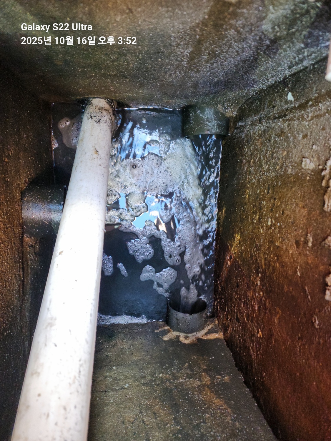 /user/g/gpmanneung/editor/2511/0de18772eb5dc0b9478ded7374d81066_1763434929_9309.jpg 이미지크게보기