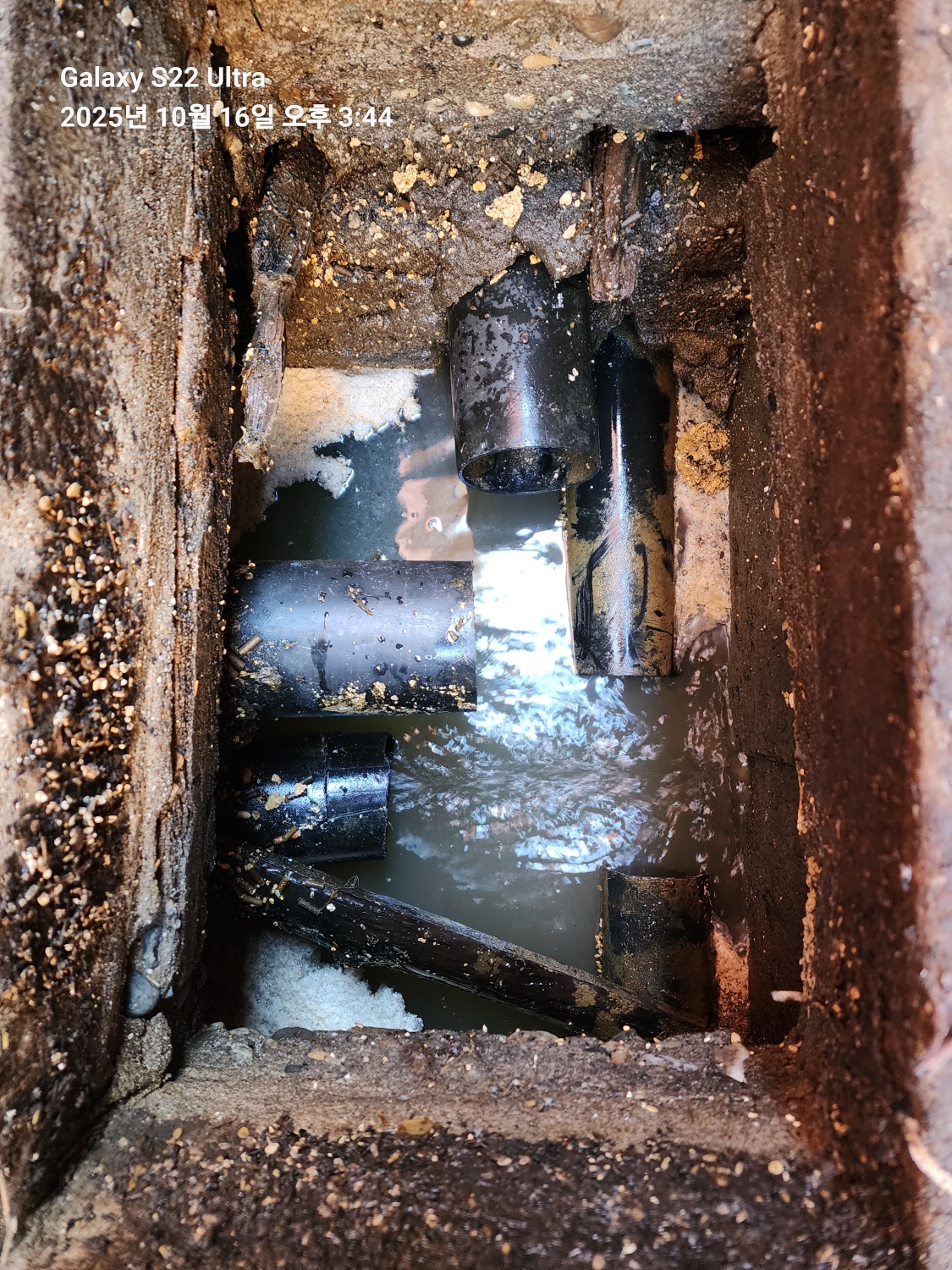 /user/g/gpmanneung/editor/2511/0de18772eb5dc0b9478ded7374d81066_1763434931_328.jpg 이미지크게보기