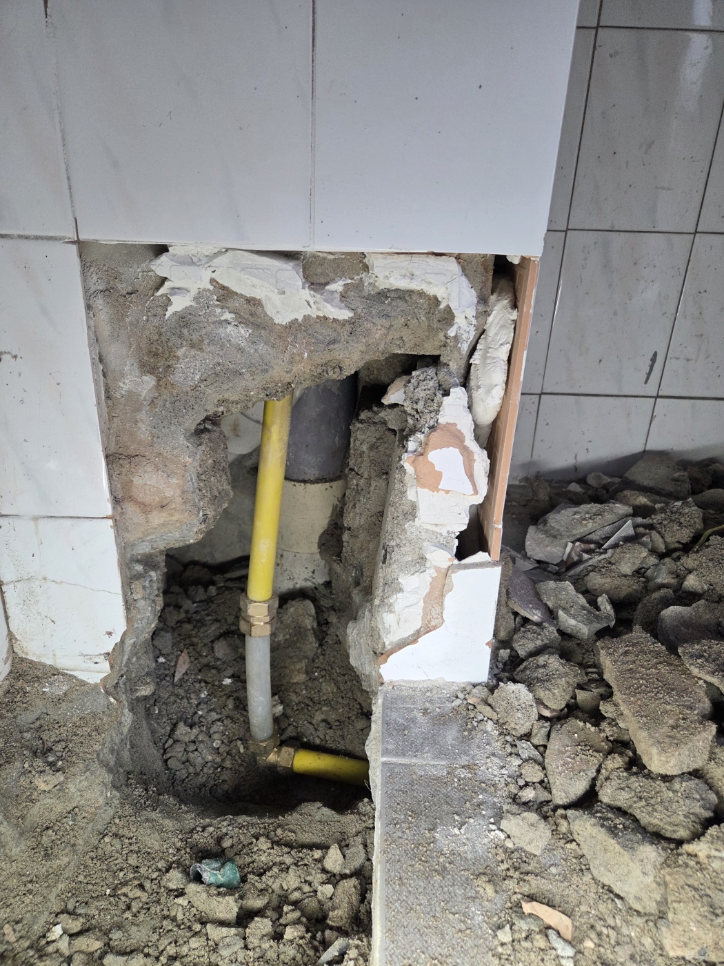 /user/g/gpmanneung/editor/2511/0de18772eb5dc0b9478ded7374d81066_1763434958_7199.jpg 이미지크게보기