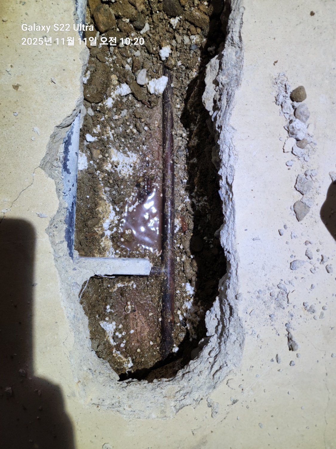 /user/g/gpmanneung/editor/2601/a472739417ff759f688fd787e267d288_1767709473_3793.jpg 이미지크게보기