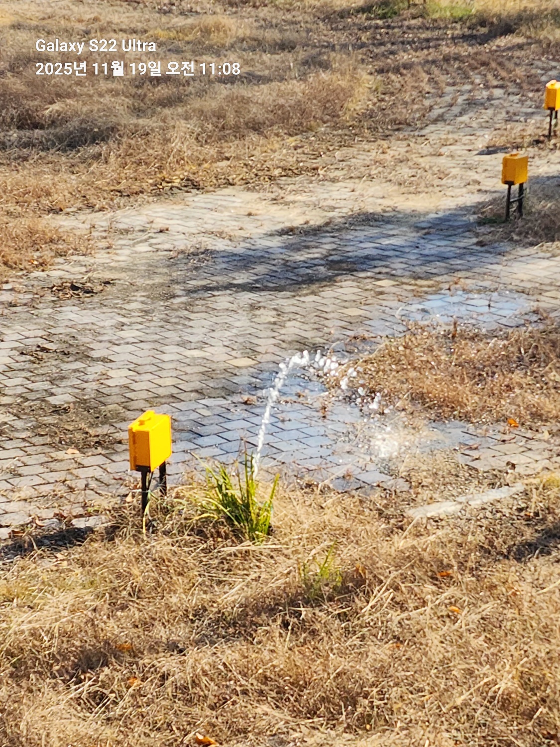 /user/g/gpmanneung/editor/2601/a472739417ff759f688fd787e267d288_1767709692_422.jpg 이미지크게보기